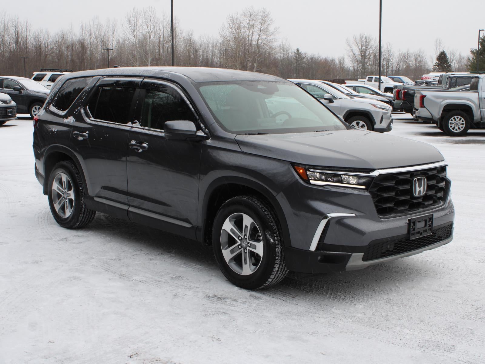 2025 Honda Pilot EX-L