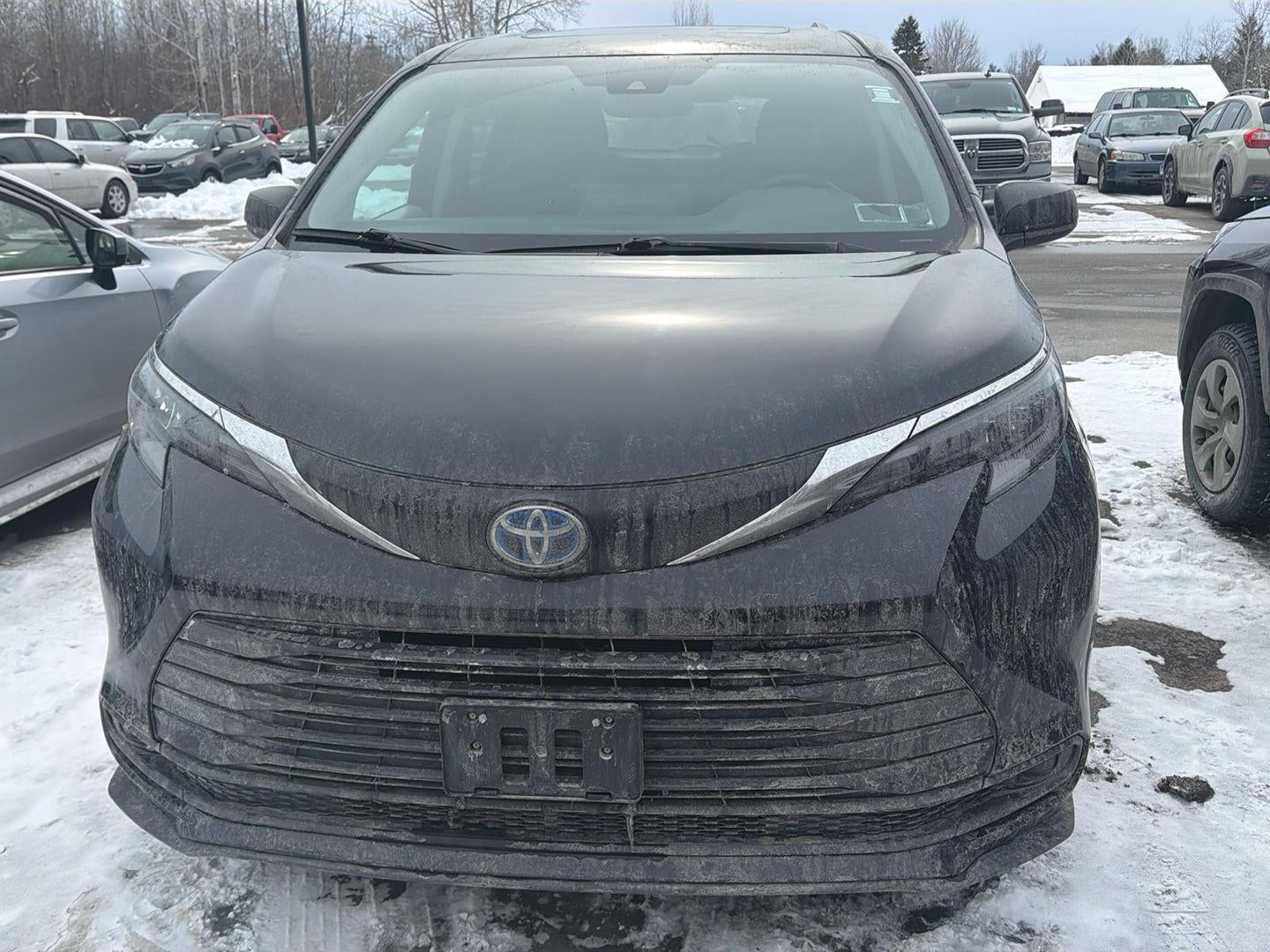 2024 Toyota Sienna LE
