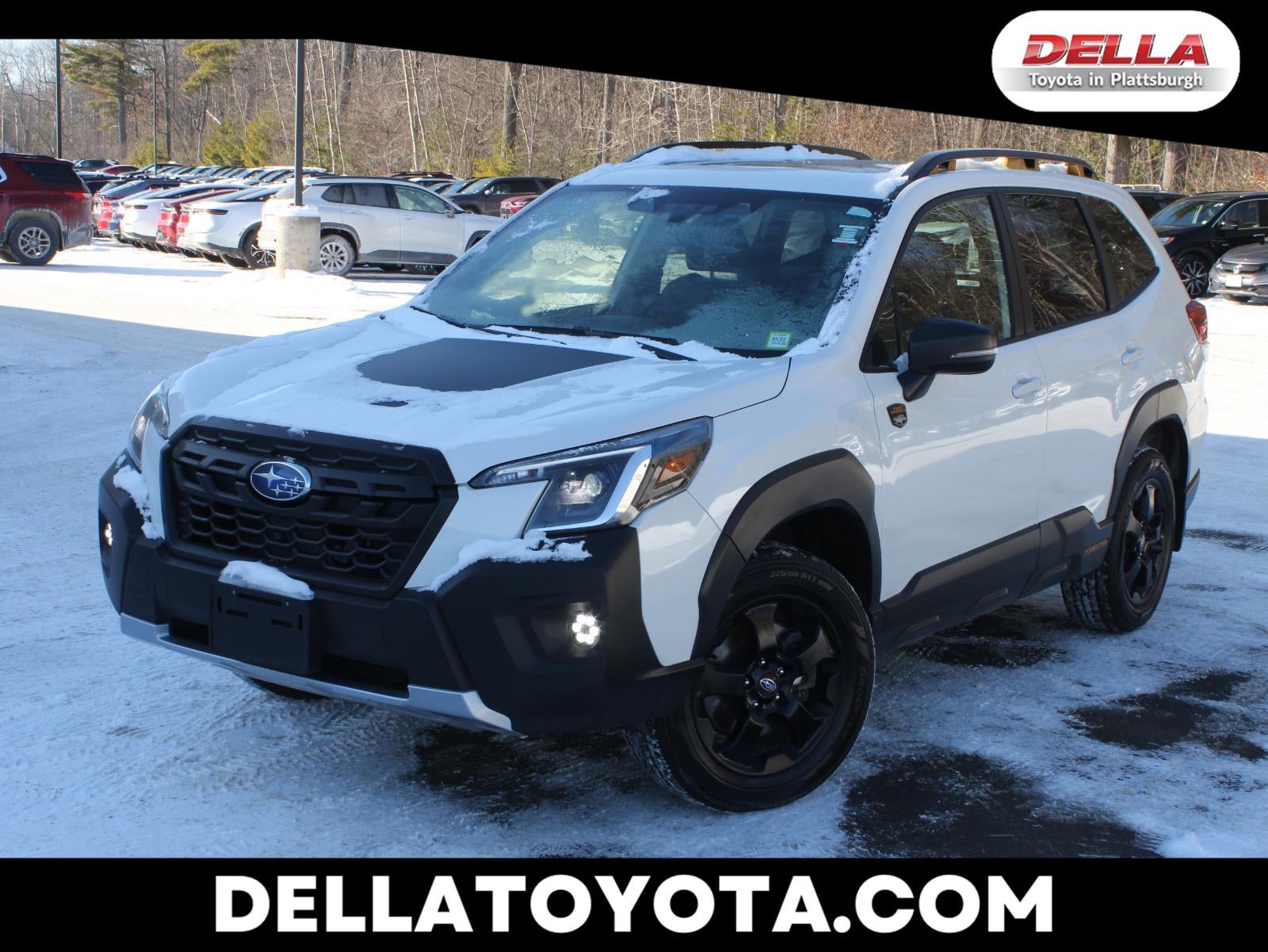 2023 Subaru Forester Wilderness