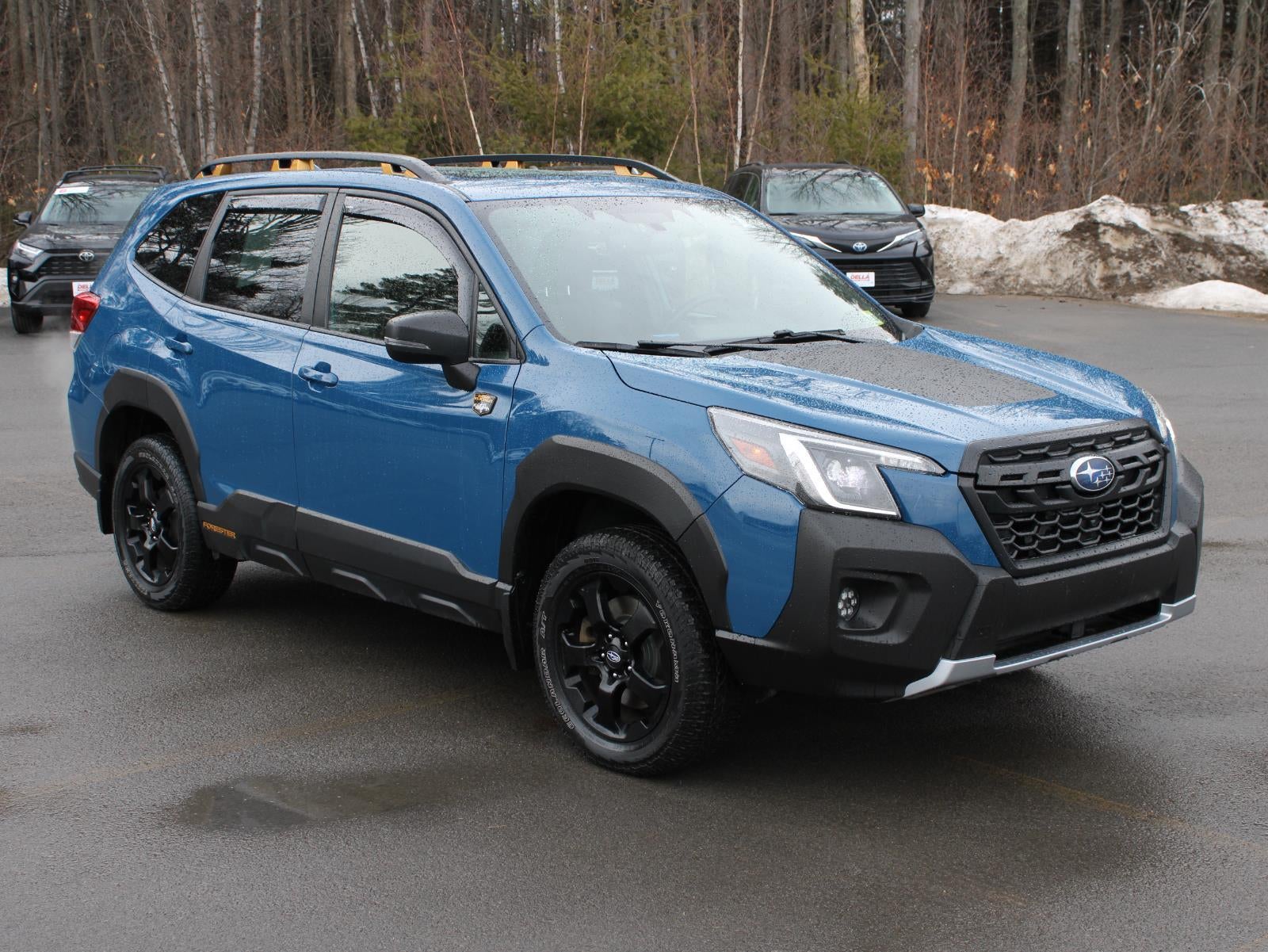 2023 Subaru Forester Wilderness