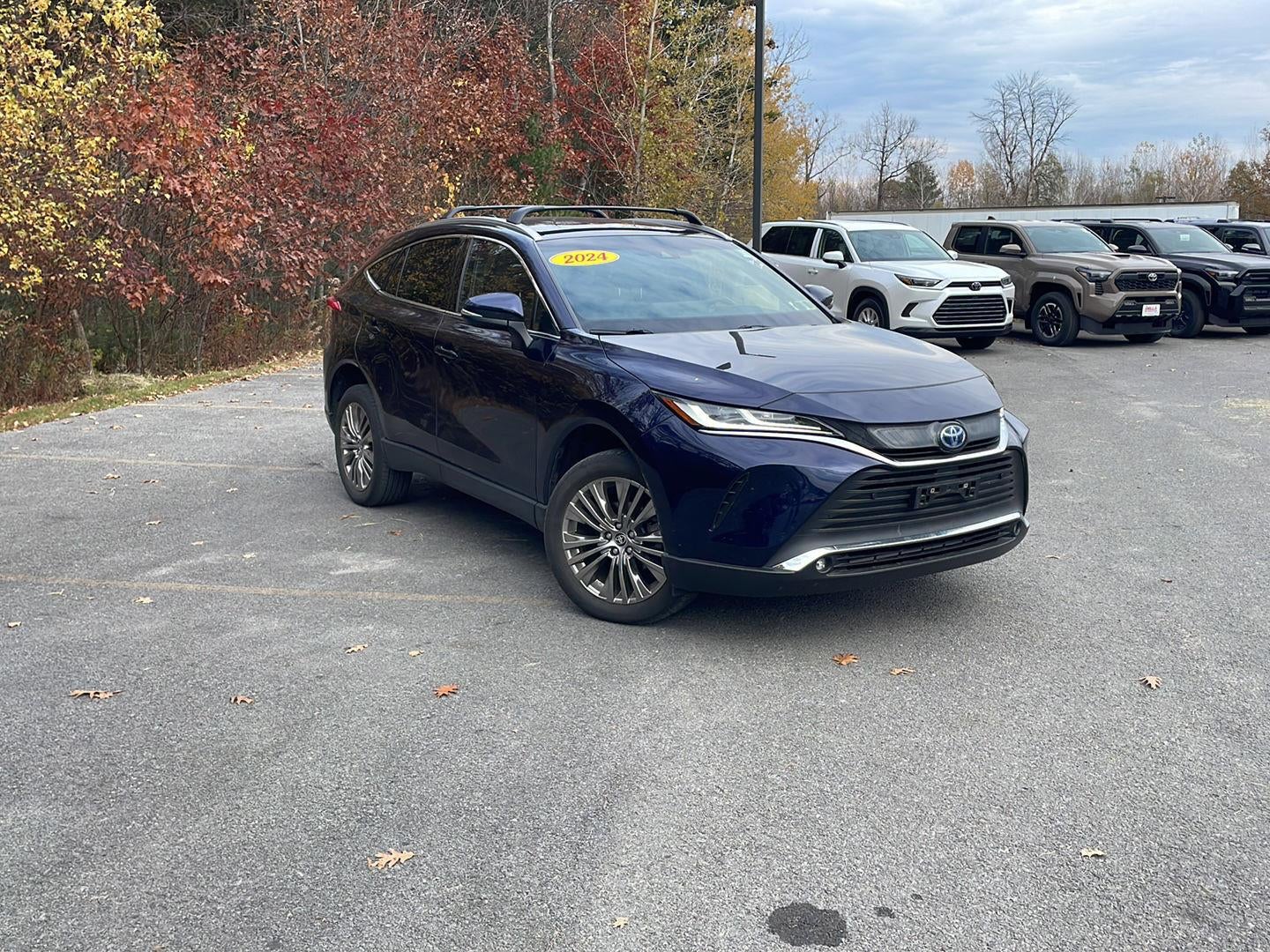 2024 Toyota Venza XLE