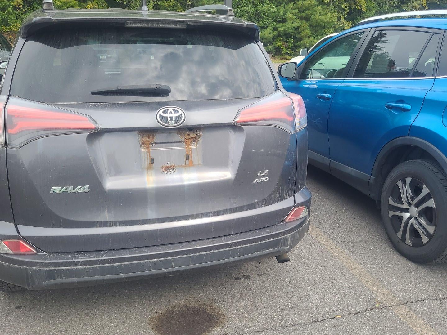 2017 Toyota RAV4 LE